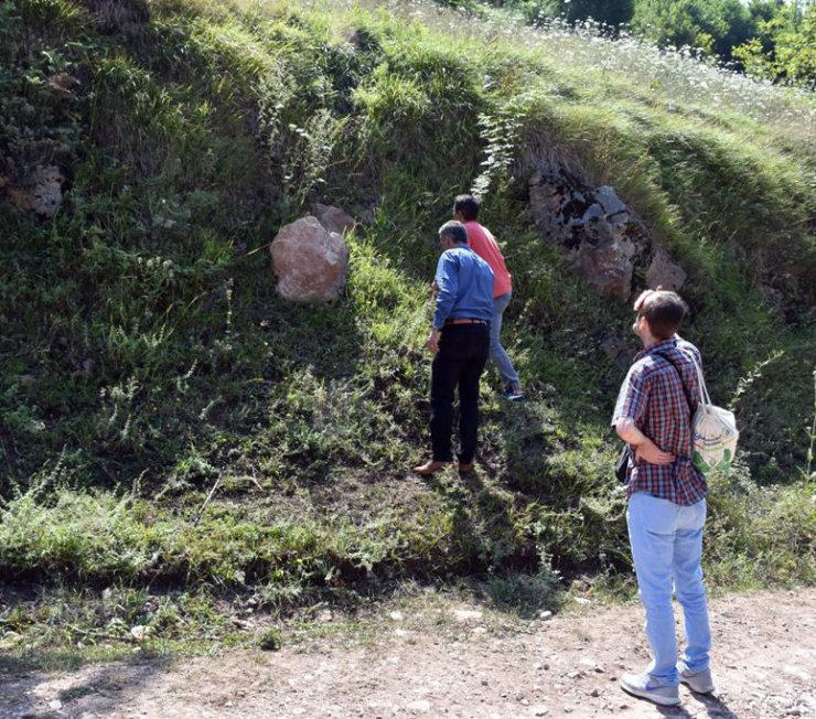 Sakarya’da ayılar için foto kapan kurdular