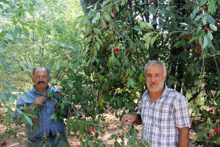 Haber olunca işleri düzeldi.