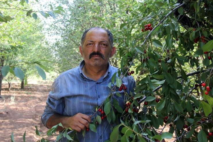 Haber olunca işleri düzeldi.