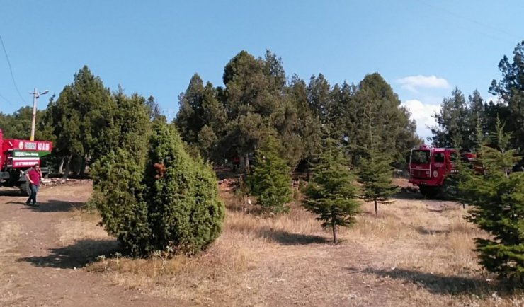 Tavşanlı’daki mesire alanında yangın