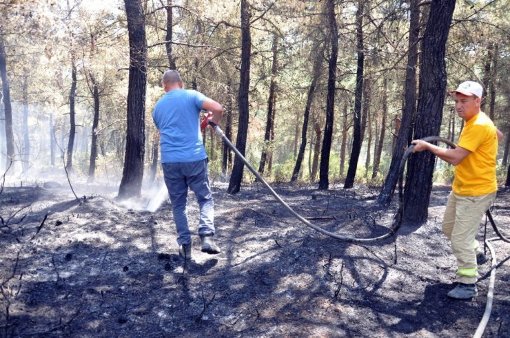 Tekirdağ’da 50 dönüm ormanlık alan kül oldu