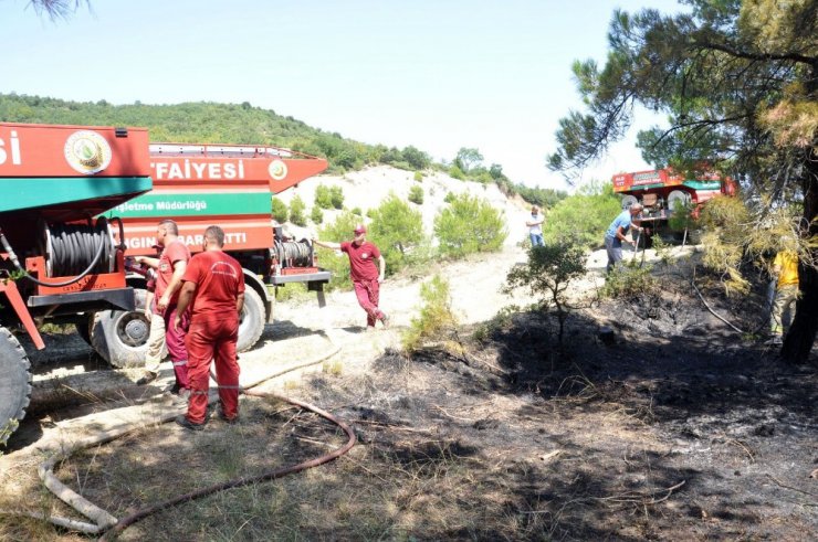 Tekirdağ’da 50 dönüm ormanlık alan kül oldu