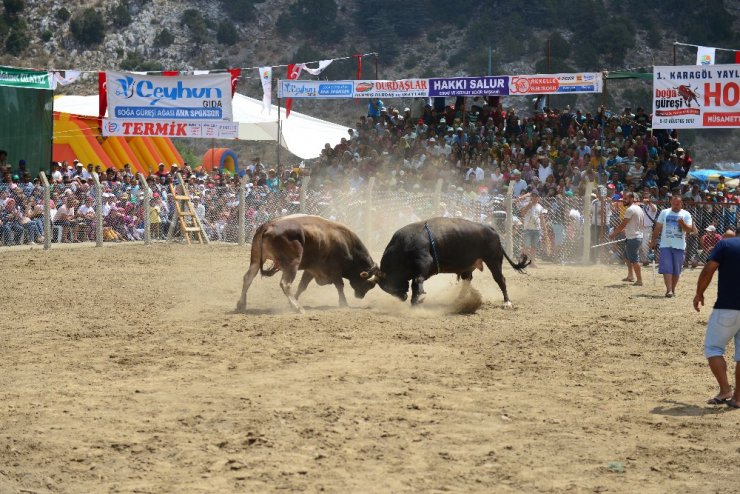 Karagöl Yayla Şenlikleri