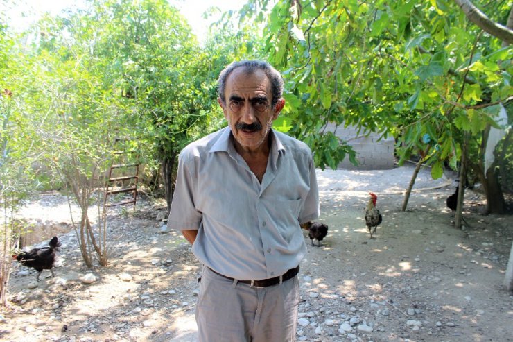 150 tavuğu çalan hırsız güvenlik kamerasının kayıt cihazını da almış