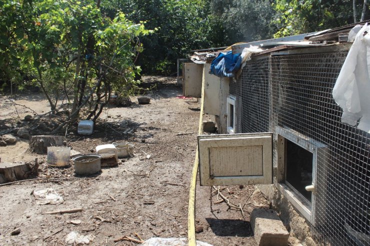 150 tavuğu çalan hırsız güvenlik kamerasının kayıt cihazını da almış