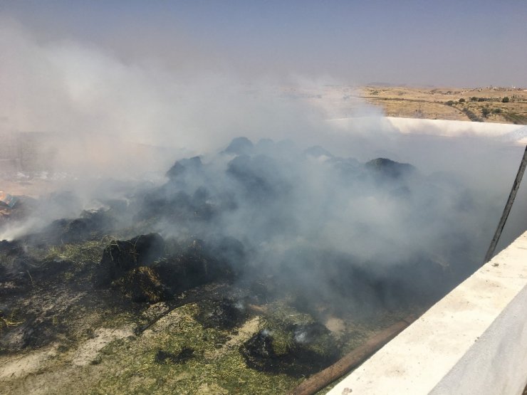 Midyat’ta hayvan çiftliğinde yangın