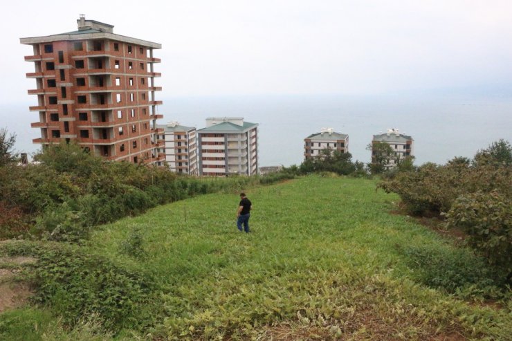 Yalıncak karpuzu betonlaşma kurbanı