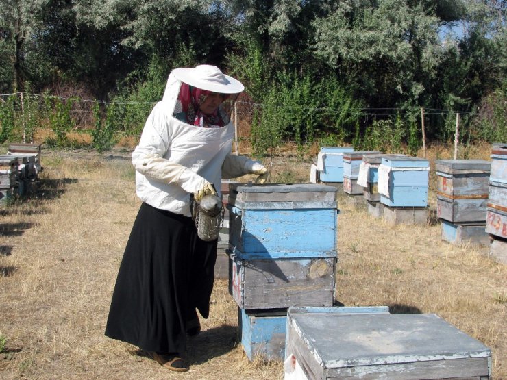 Havaların kurak geçmesi arıcıları olumsuz etkiledi