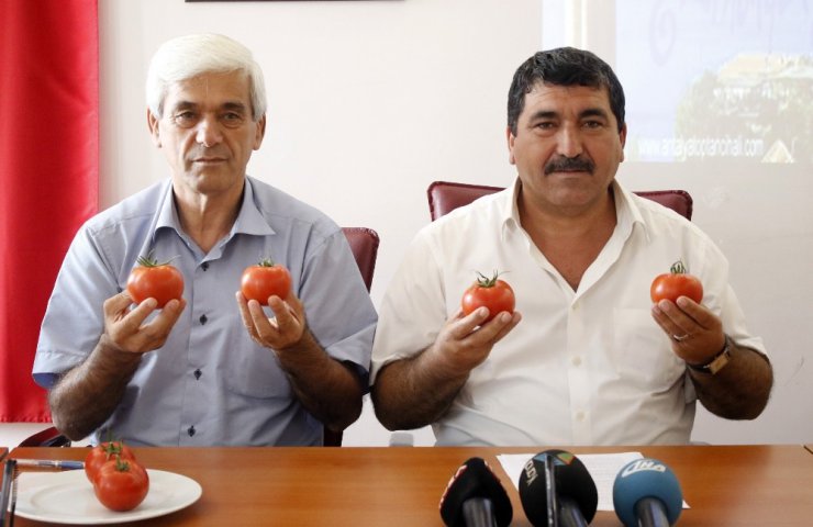 Rusya’nın yaş sebze meyve kararına domates yiyerek tepki gösterdiler