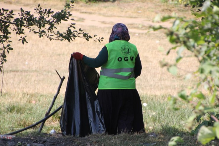 Domaniç ormanları temizlendi