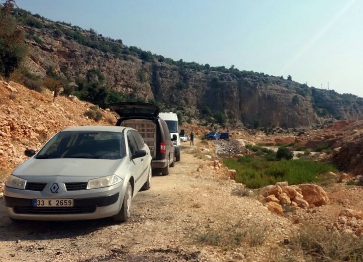 Kayıp Hollandalı ölü olarak bulundu