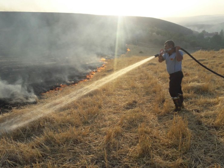 Siirt’te anız yangını