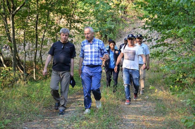 Çınar, orman emval üretimi çalışmalarını inceledi