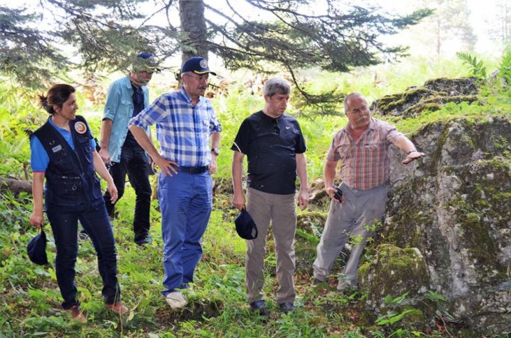 Çınar, orman emval üretimi çalışmalarını inceledi