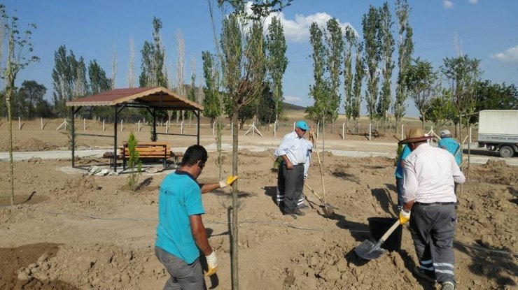 Sungurlu’da 7 bin 500 fidan toprakla buluştu