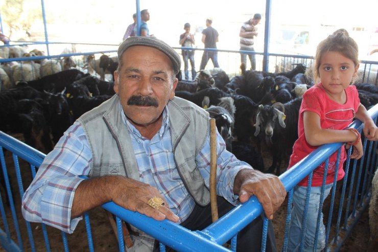 “Küçükbaş kurbanlık stokunda sıkıntı yok”