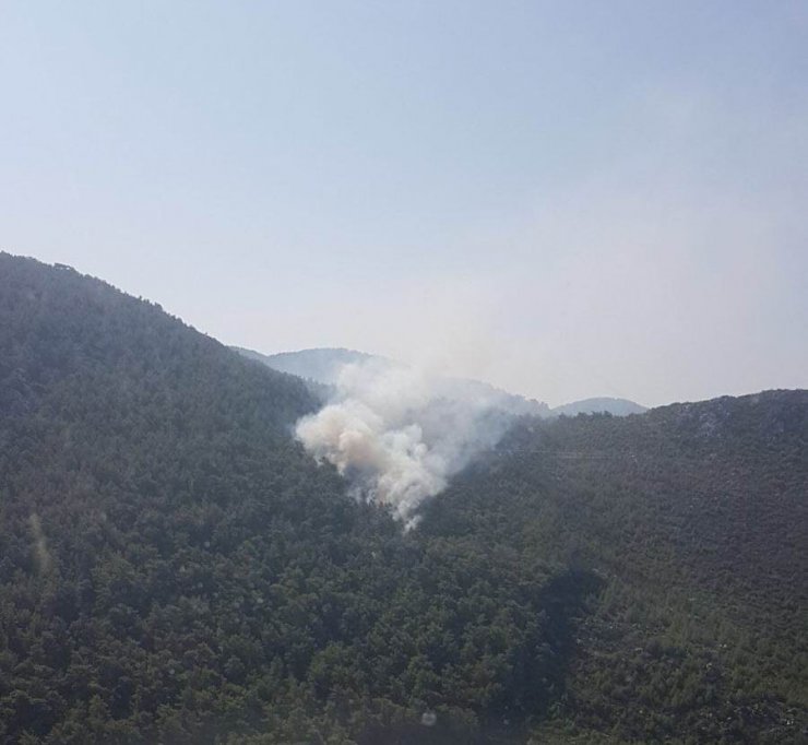 Bozdoğan’da 10 dönüm tarım arazisi yangında zarar gördü