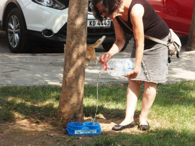 Sokak hayvanları unutulmadı