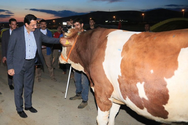 Türkiye’nin en nitelikli kurban satış alanı Keçiören’de