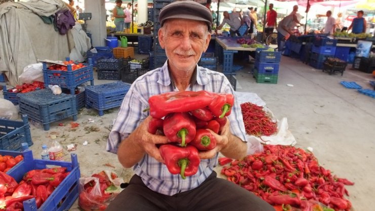 Burhaniye’de salçalık biber kazandırdı