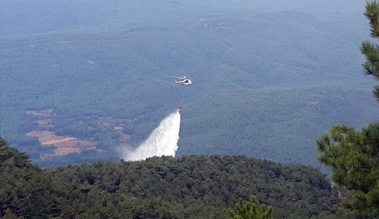 Muğla ve Aydın’da orman yangını