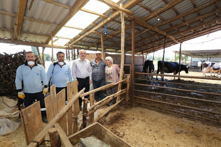 Pamukkale’de sinek ve haşere ile mücadele aralıksız sürüyor