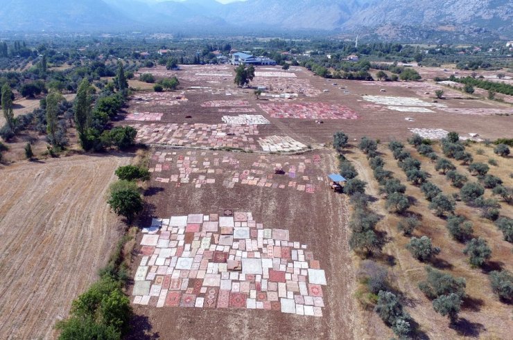 Antalya’nın susuz tarımı: Milyon dolarlık halı tarlaları