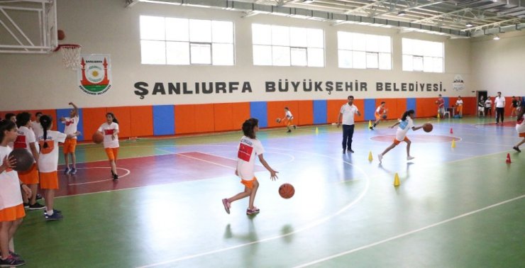 Türkiye’nin en genç ilinde basketbola yoğun ilgi