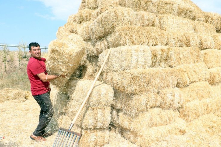 Yozgat’ta besiciler kış hazırlığına başladı