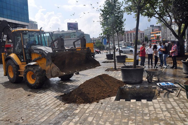 Gaziosmanpaşa’da ağaçlandırma çalışmaları devam ediyor