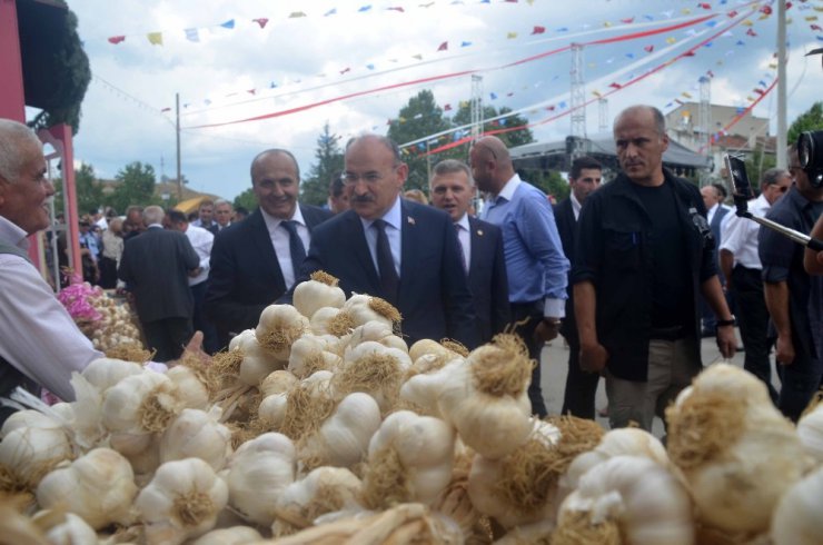 31. Uluslararası Taşköprü Kültür ve Sarımsak Festivali başladı