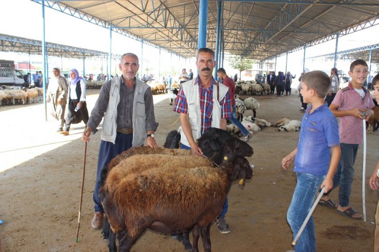 Kurbanlıklar pazara indi