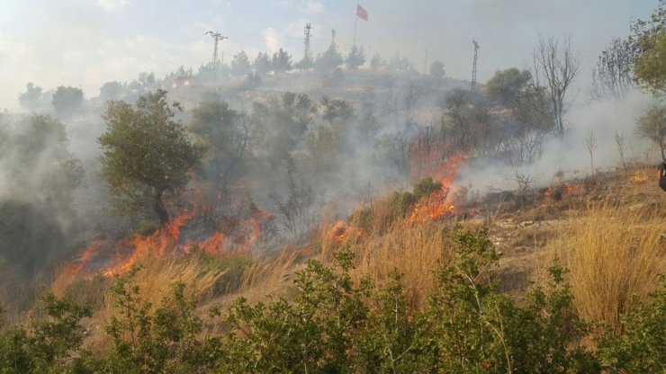 Milas’ta moloz alanında 5 gün arayla ikinci yangın