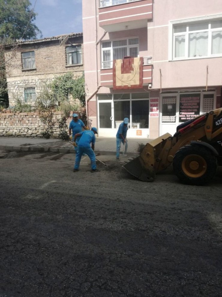 Ana arterlerde yol kenarları temizlendi