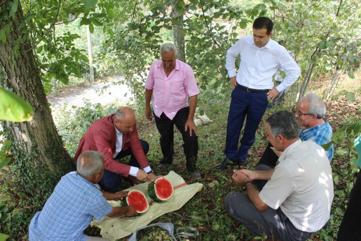 Başkan Togar: “Tarlada izi olmayanın harmanda yüzü olmaz”