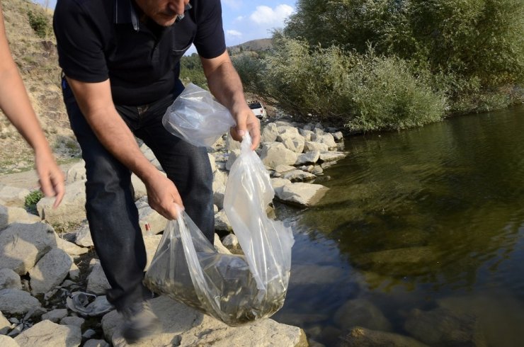 Afyonkarahisar’da göl ve göletlere 535 bin adet balık bırakıldı
