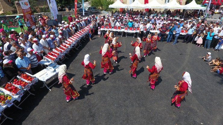 Boyabat domatesi tanıtıldı