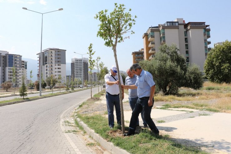 Güzelyurt’un çehresi değişiyor