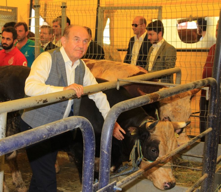 Kadir Topbaş, İBB Alibeyköy Kurban Satış ve Kesim Merkezi’nde inceleme yaptı