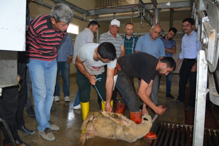 Korkuteli’nde kurban kesim kursu tamamlandı