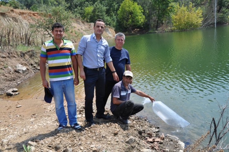 Simav’da göletlere 27 bin yavru balık bırakıldı