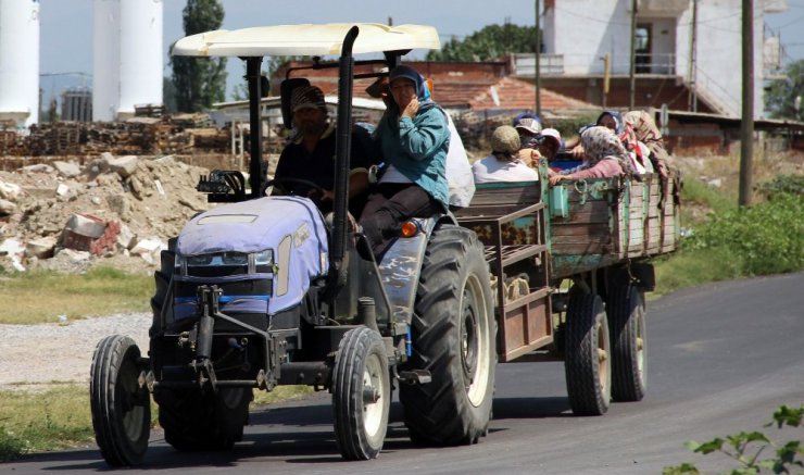 Tarım işçilerinin tehlikeli yolculuğu devam ediyor