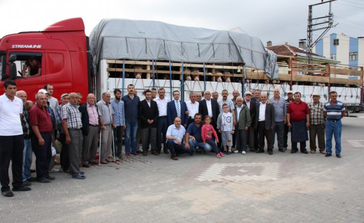 Kastamonu’dan kurban yüklü 160 tır, İstanbul bölgesine sevk ediliyor