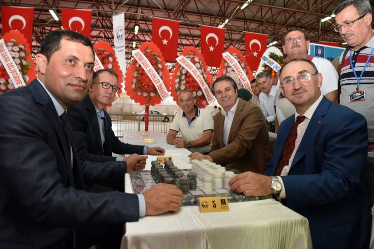 Mustafakemalpaşa’da dama heyecanı