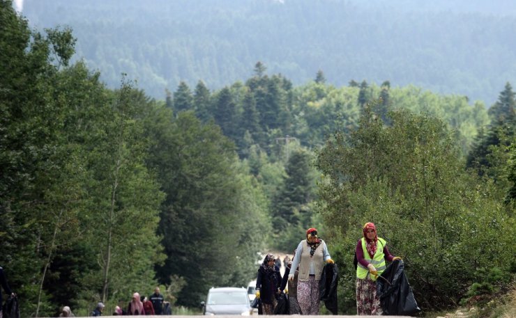 Ormandan temizlik canavarı çıktı