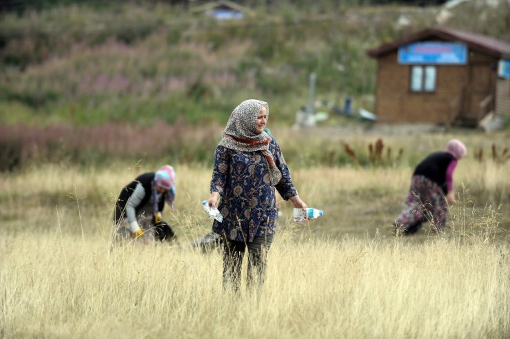 Ormandan temizlik canavarı çıktı