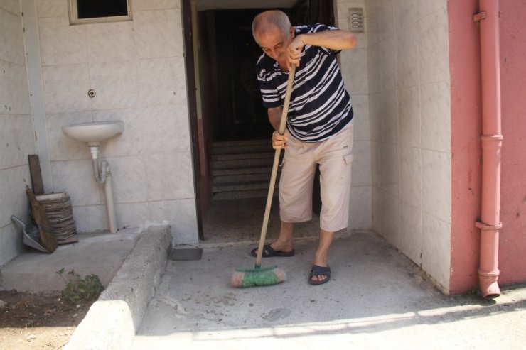 Tırtılların istila ettiği sokakta 4 gündür korku ile yaşıyorlar