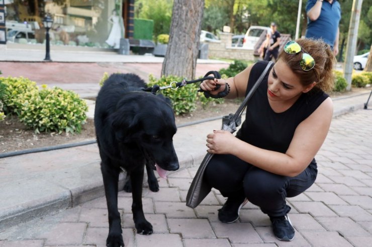 Cumhurbaşkanı Erdoğan ’Cesur’ köpek için otobüsten indi