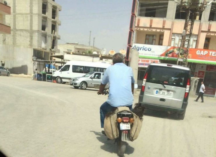 İki çocuğu motosikletin heybesinde götürdü