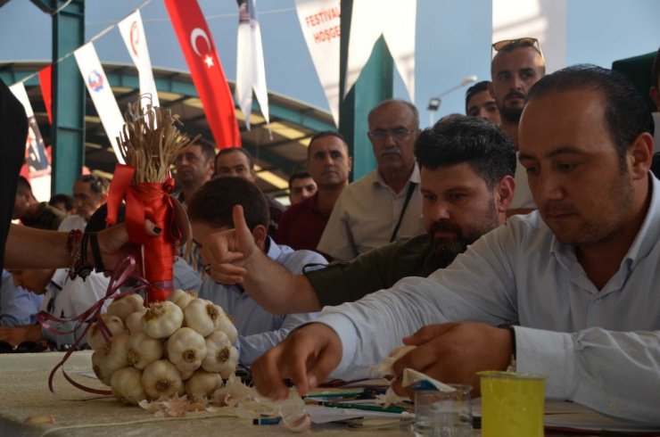 Taşköprü’de en iyi sarımsaklar seçildi